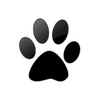 Captcha image 3088